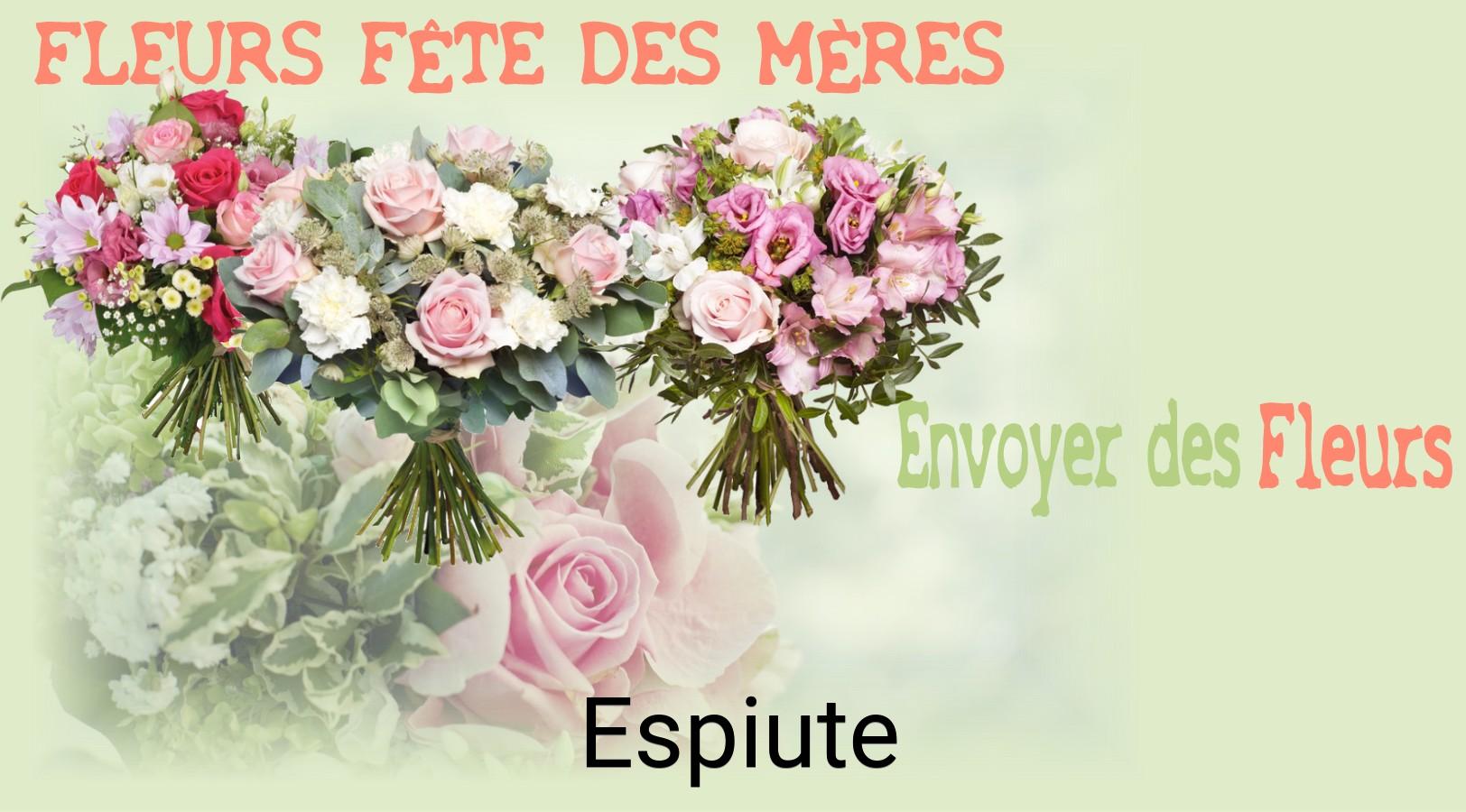 Bouquet de Fête des Mères livré à Espiute